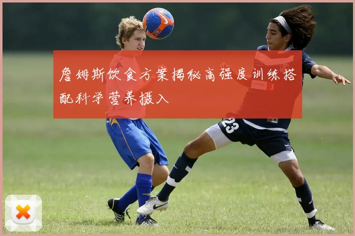 詹姆斯饮食方案揭秘高强度训练搭配科学营养摄入