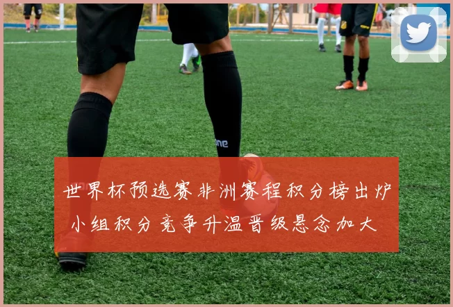 世界杯预选赛非洲赛程积分榜出炉 小组积分竞争升温晋级悬念加大