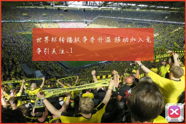 世界杯转播权争夺升温 移动加入竞争引关注_1