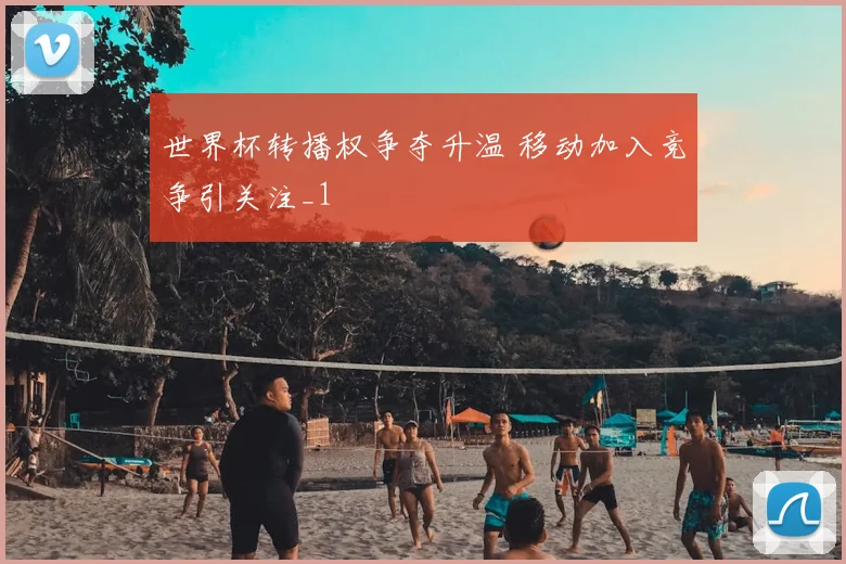 世界杯转播权争夺升温 移动加入竞争引关注_1